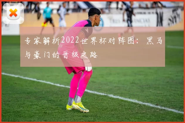 专家解析2022世界杯对阵图：黑马与豪门的晋级之路