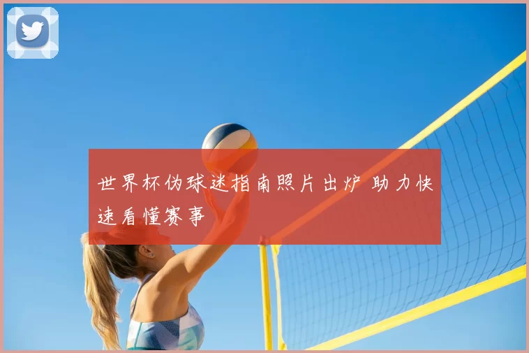 世界杯伪球迷指南照片出炉 助力快速看懂赛事