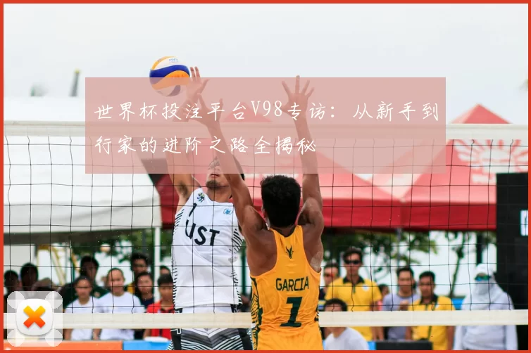 世界杯投注平台V98专访：从新手到行家的进阶之路全揭秘
