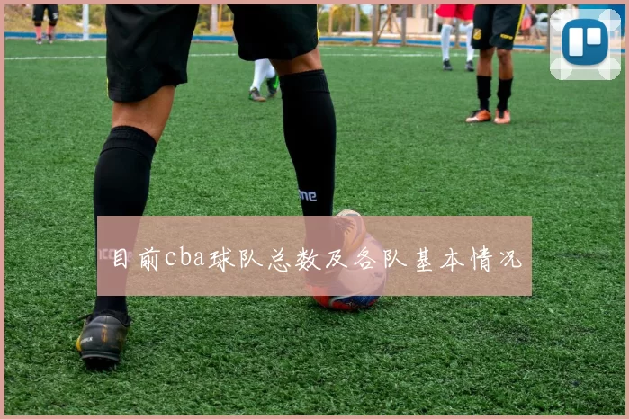 目前cba球队总数及各队基本情况