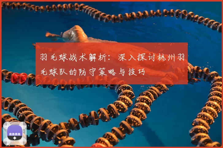 羽毛球战术解析:深入探讨杭州羽毛球队的防守策略与技巧