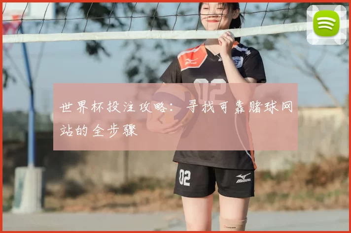 世界杯投注攻略：寻找可靠赌球网站的全步骤