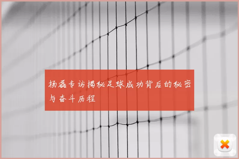 杨磊专访揭秘足球成功背后的秘密与奋斗历程
