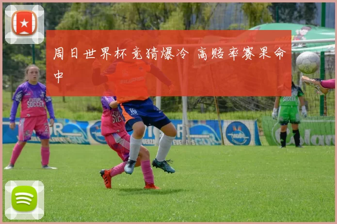 周日世界杯竞猜爆冷 高赔率赛果命中