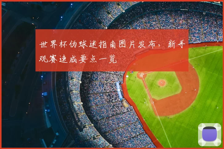 世界杯伪球迷指南图片发布,新手观赛速成要点一览