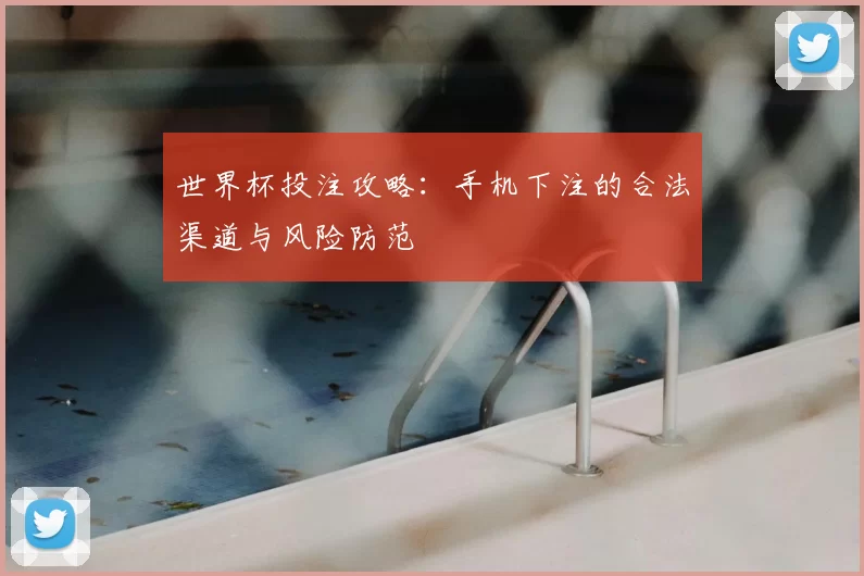 世界杯投注攻略：手机下注的合法渠道与风险防范