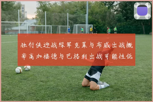 独行侠迎战绿军克莱与布威出战概率高加福德与巴格利出战可能性低