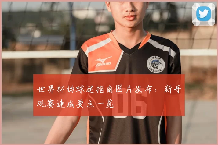 世界杯伪球迷指南图片发布,新手观赛速成要点一览