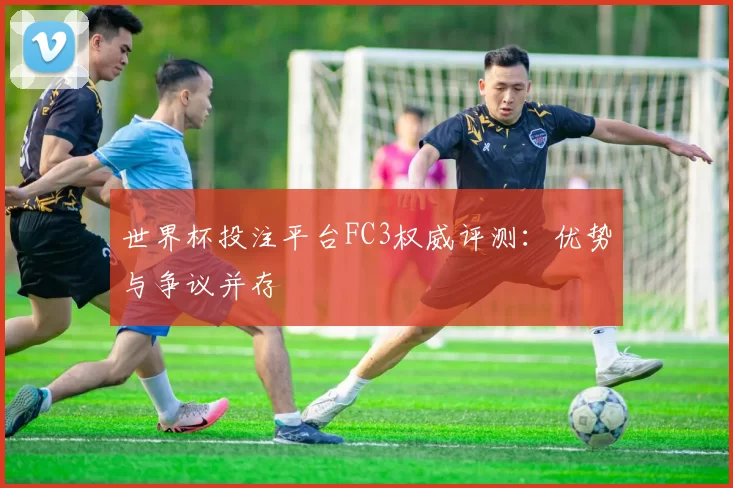 世界杯投注平台FC3权威评测：优势与争议并存