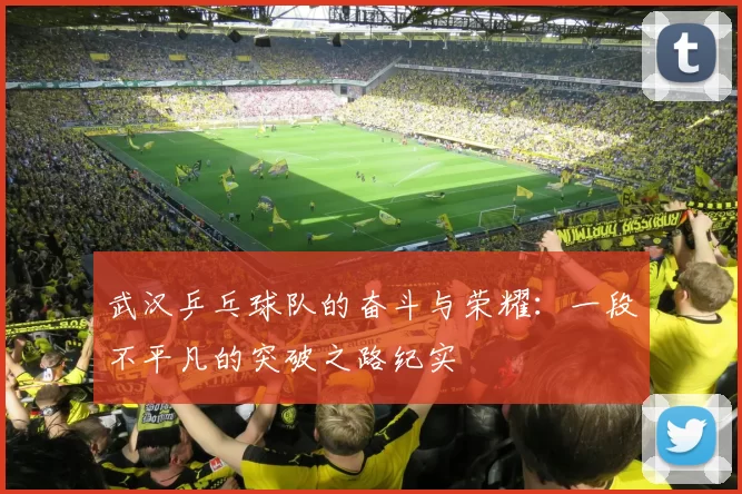 武汉乒乓球队的奋斗与荣耀:一段不平凡的突破之路纪实
