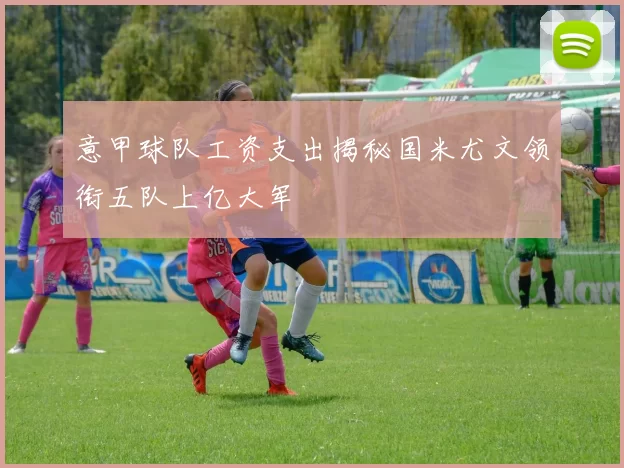 意甲球队工资支出揭秘国米尤文领衔五队上亿大军